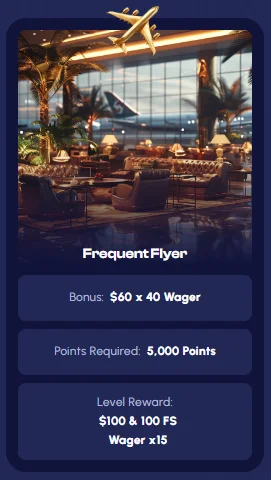 Frequent Flyer Loyalty Program Level